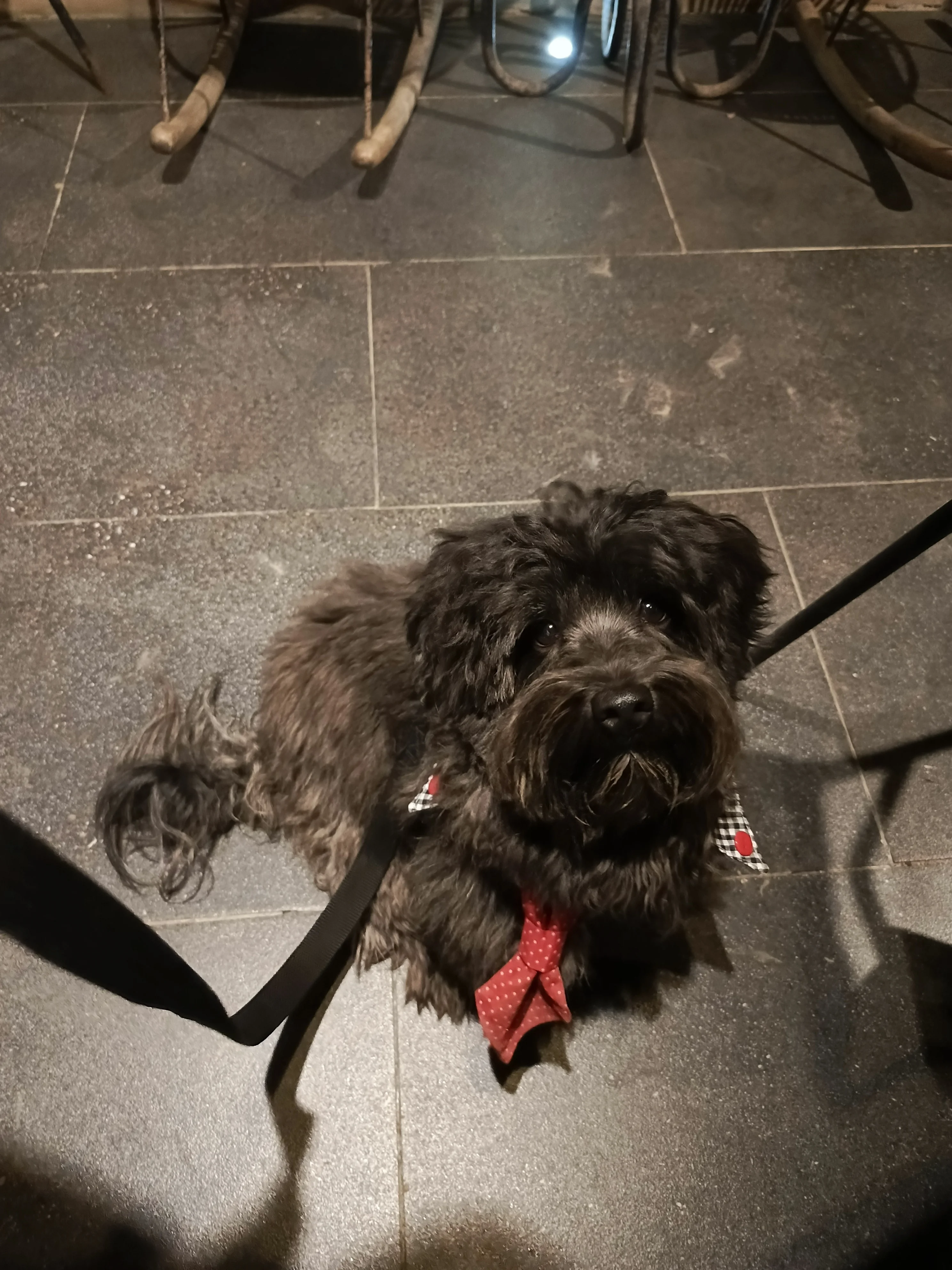 Kikin velando en la cena