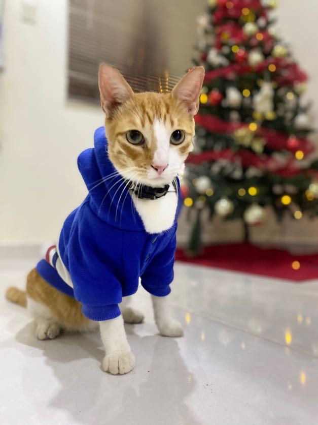 Titi con su primer regalo de navidad